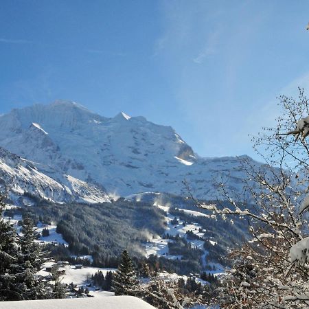 Studio Krokus Wengen Exterior foto