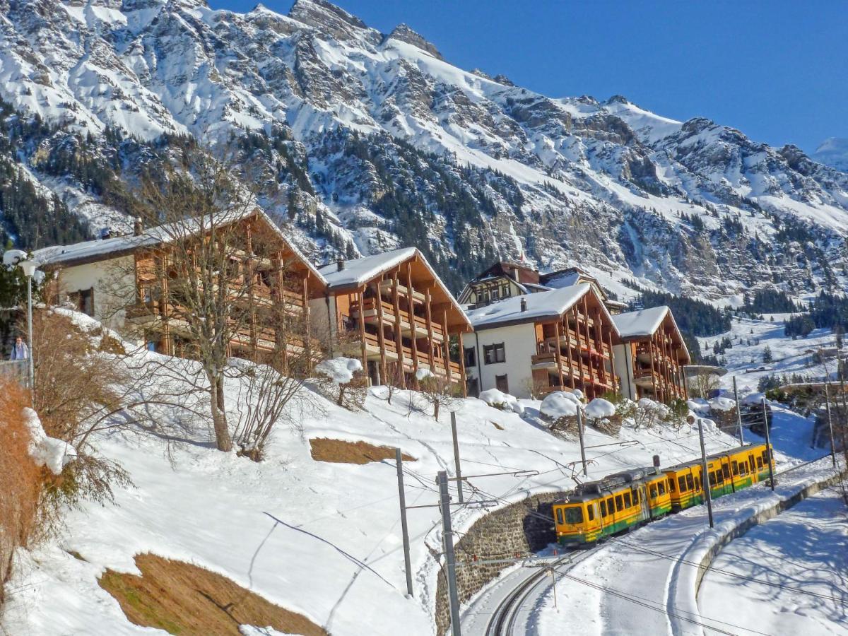 Studio Krokus Wengen Exterior foto